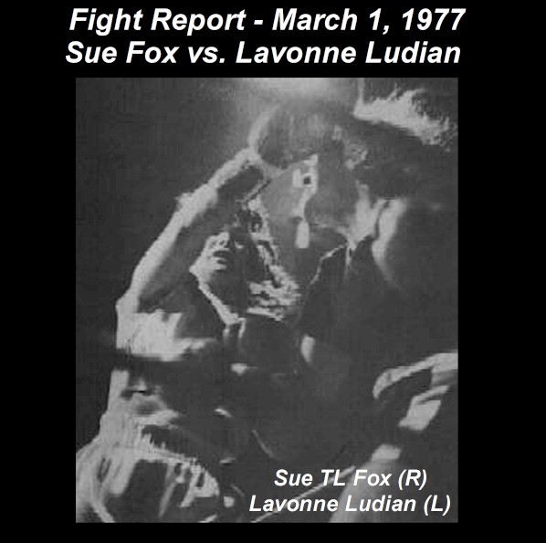 600SUETLFOXLUDIAN123