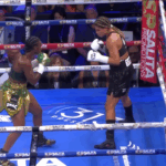 Embedded670e7f4eb2e94701b0ef4491cfa56ae0